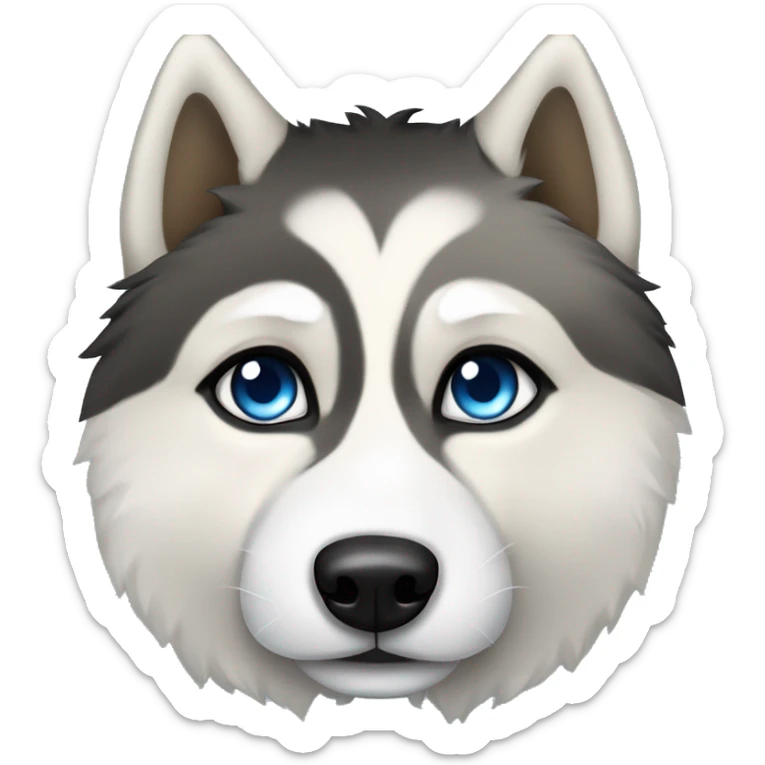 The face of a black, white, and tan Fluffy Siberian husky with blue eyes. Tan above the eyes and on the side of the face. White around the nose and up between the eyes. Black surrounding the areas sticker