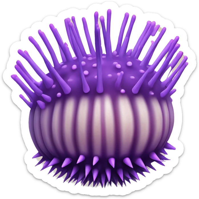 purple sea urchin (Strongylocentrotus purpuratus) purple ball with lots of lighter purple spikes sticker