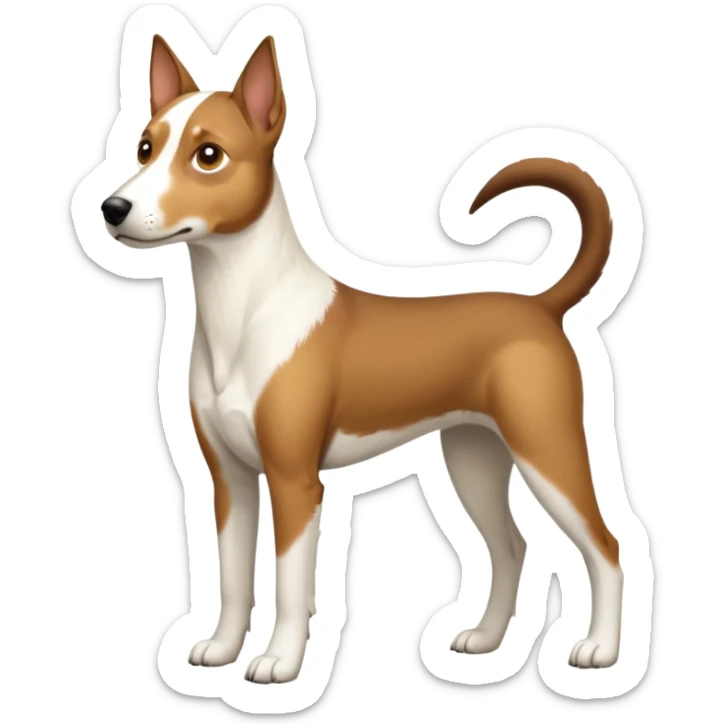 a full body large white parson russell looking dog the size of a kelpie with light brown flapped down ears and a light brown patch on one eye and a large snout sticker