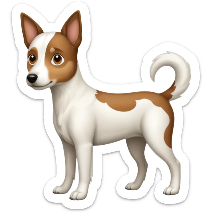 a full body large white floppy eared parson russell looking dog the size of a kelpie with light brown ears and a light brown patch on one eye and a large snout sticker