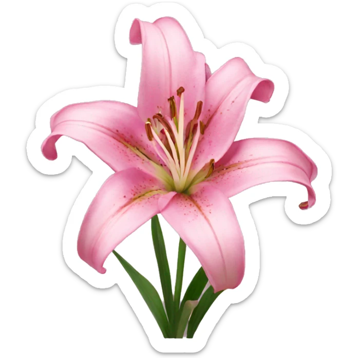 pink lily sticker
