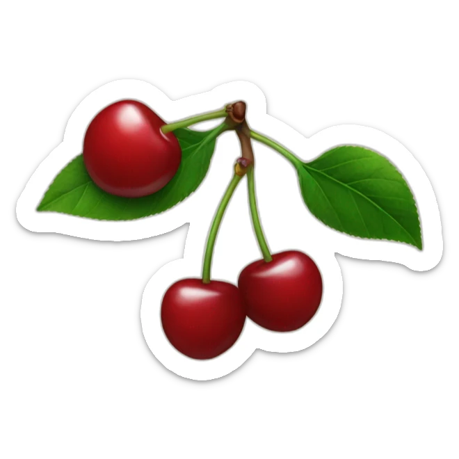 Cherries  sticker