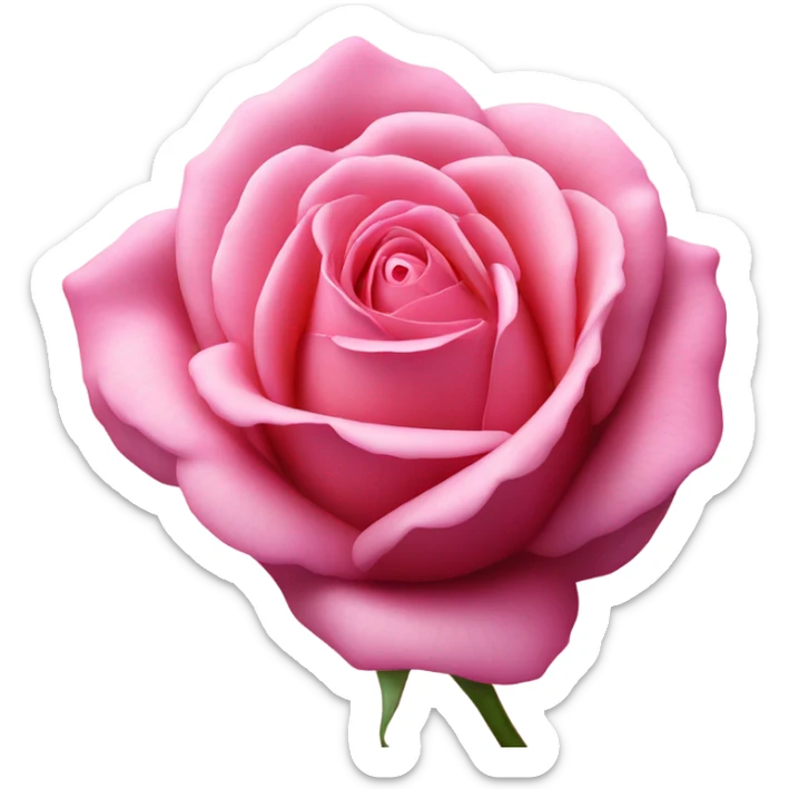 Rosa sticker