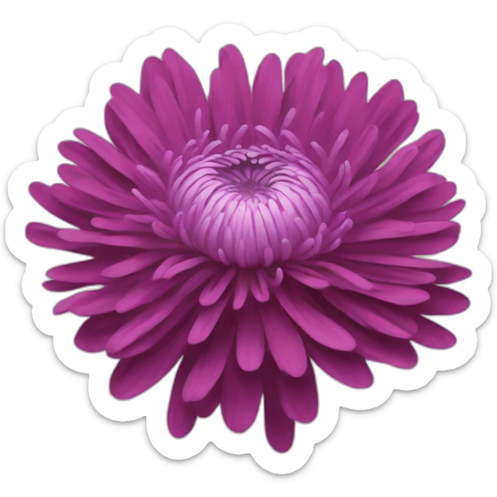Chrysanthemum sticker