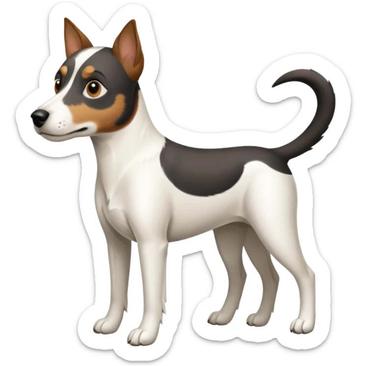 a full body large white parson russell looking dog the size of a kelpie with light brown ears and a light brown patch on one eye and a large snout sticker