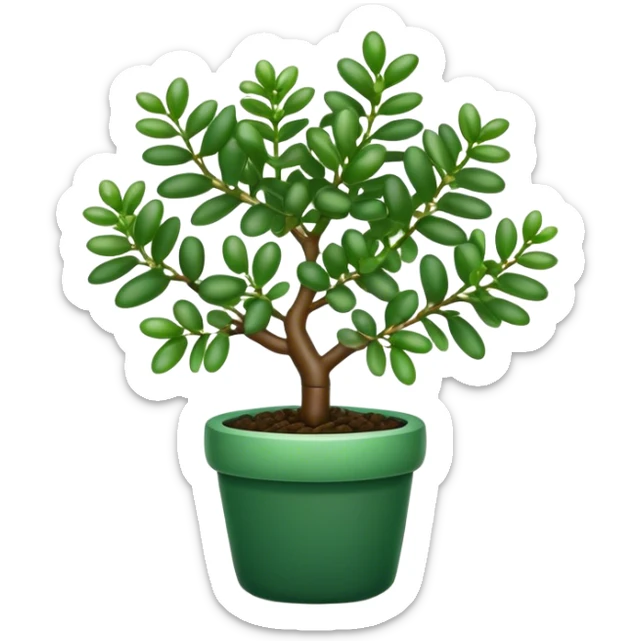 Cinematic Realistic Jade Plant Emoji, Thick and glossy, with dark green, round leaves that shine under the light. The sturdy stems and vibrant foliage give a sense of prosperity and tranquility. Soft glowing outline, capturing the essence of good luck, growth, and natural elegance in a flourishing jade plant! sticker