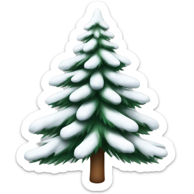  actual white fir christmas tree isolated.  sticker