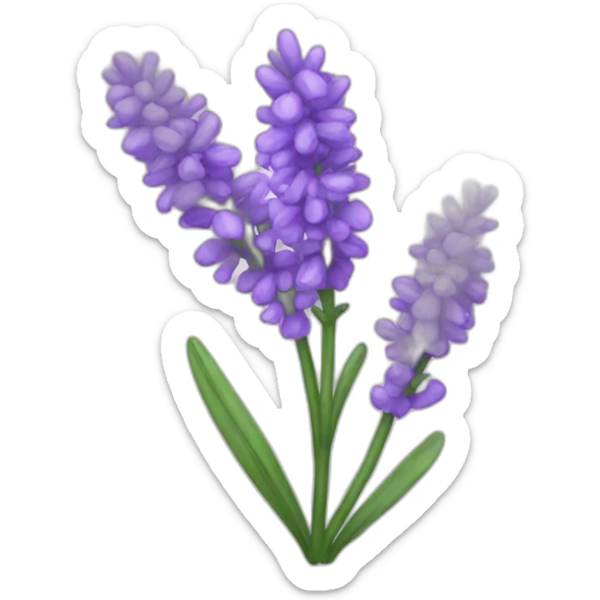Lavender  sticker