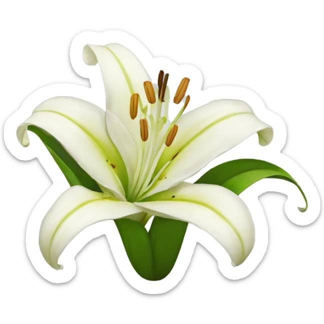 Lily flower sticker