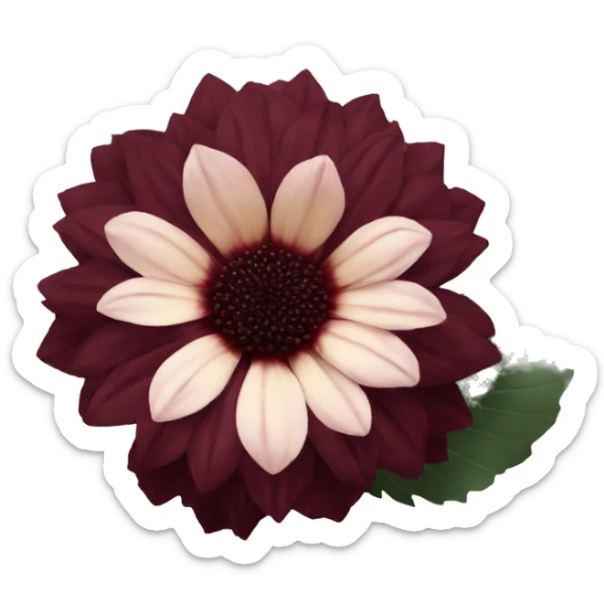 give me a black dahlia flower with a burgundy red color sticker