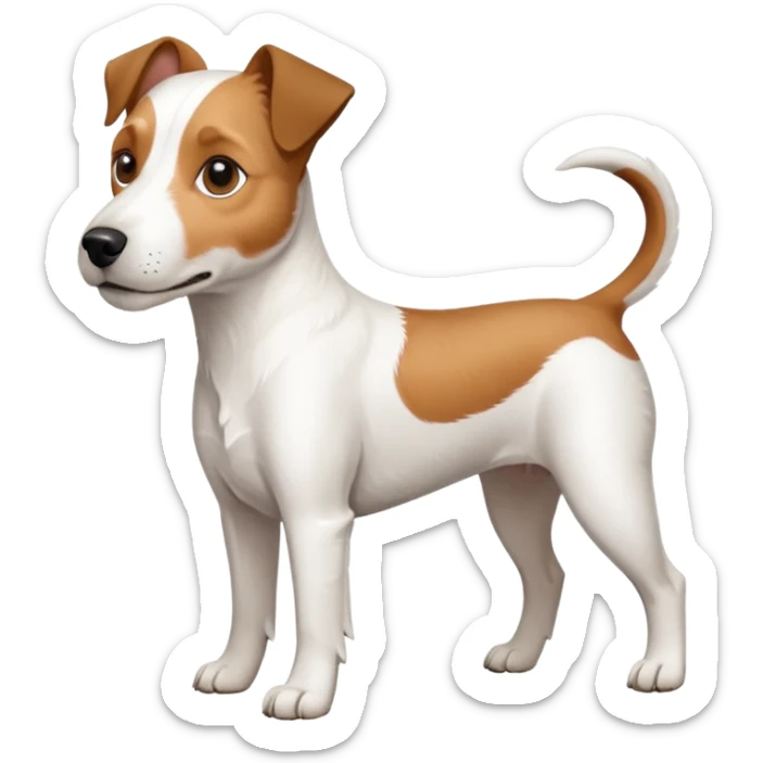 a full body large white parson russell looking dog the size of a kelpie with light brown ears and a light brown patch on one eye and a large snout sticker