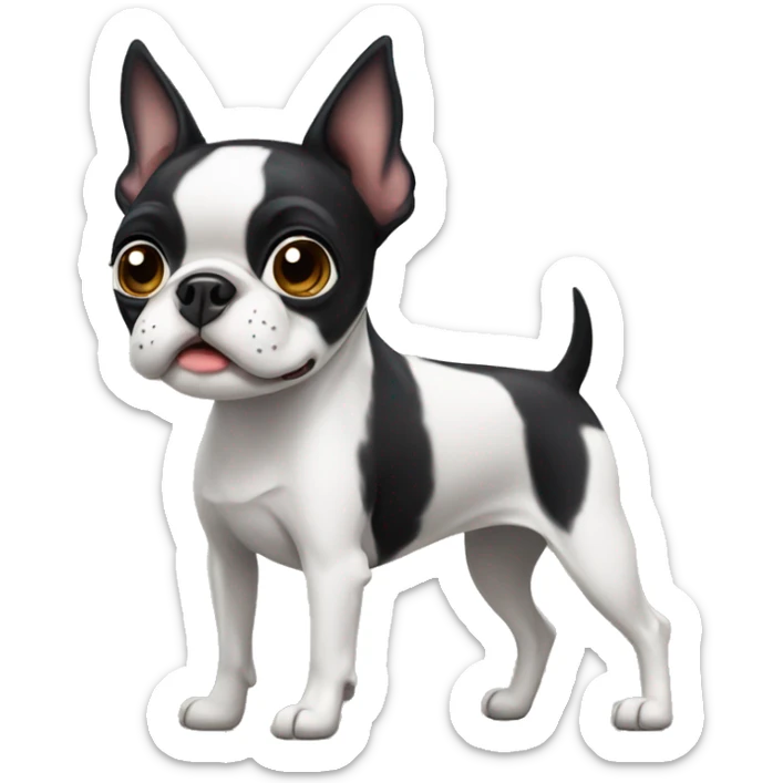 Boston terrier sticker