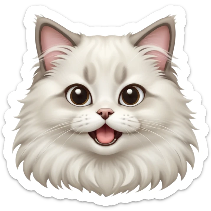 cinematic-adorable-big-eyed-fluffy-ragdoll-cat-portrait-emoji,-head-tilted-playfully-with-a-cute,-exaggerated-yawn,-white and grey fur,-simplified-yet-irresistibly-cute-features sticker