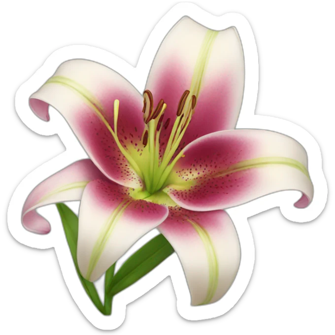 Lily sticker