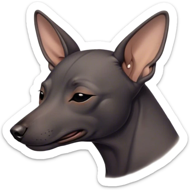 Meme-Worthy Cute Sleeping Xoloitzcuintle dog Portrait Emoji, Head resting peacefully with a contented smile, showcasing a sleek, muscular build with smooth, hairless ebony skin and gently relaxed wrinkles, eyes shut in a serene nap, Simplified yet hilariously adorable features, highly detailed, glowing with a soft, drowsy light, high shine, relaxed and utterly lovable, stylized with an air of playful laziness, bright and heartwarming, soft glowing outline, capturing the essence of a comically sleepy guardian, so meme-worthy it feels like it could instantly become the next viral sensation of adorable slumber! sticker