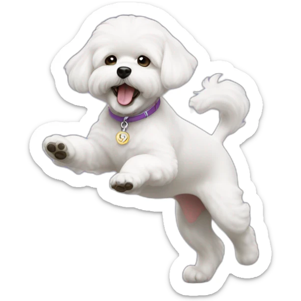 bichon dancing sticker