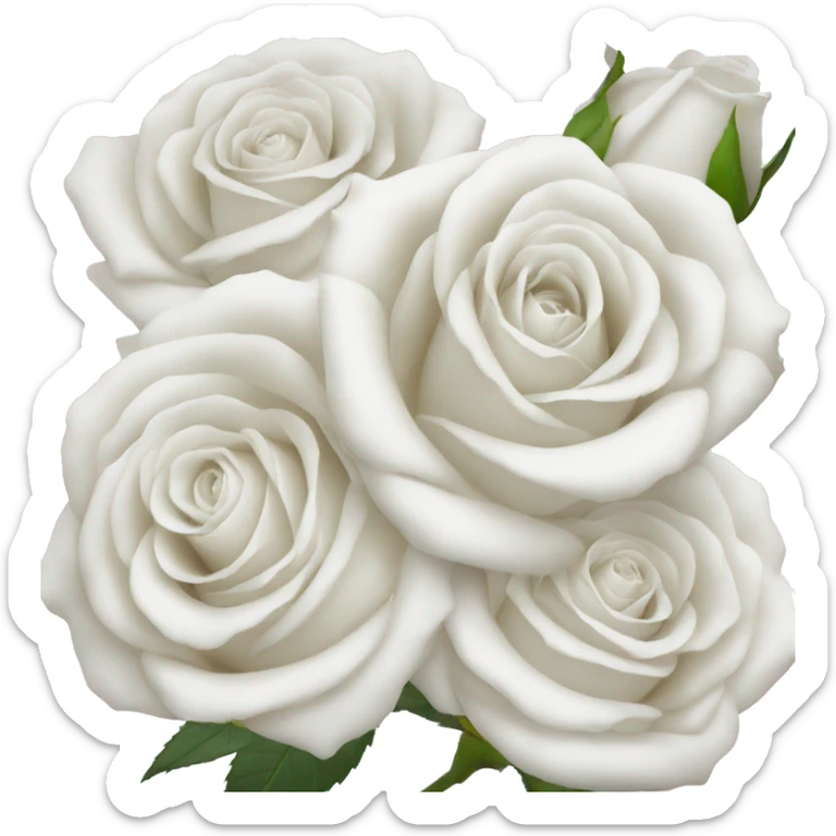 Roses white  sticker