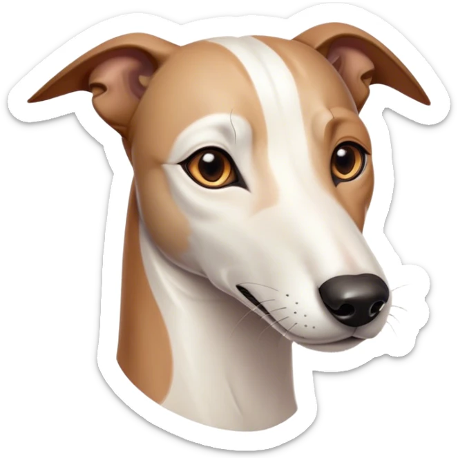 Cinematic Noble White and Brown Greyhound Portrait Emoji, Poised and regal, with a slender, aerodynamic build and a sleek Fur of pristine white accented by warm brown markings, deep-set soulful eyes, Simplified yet sharp and sophisticated features, highly detailed, glowing with a soft, dignified glow, high shine, intelligent and agile, stylized with an air of elegance, focused and attentive, soft glowing outline, capturing the essence of a watchful and swift companion, so majestic it feels as though it could dash out of the screen with effortless authority! sticker