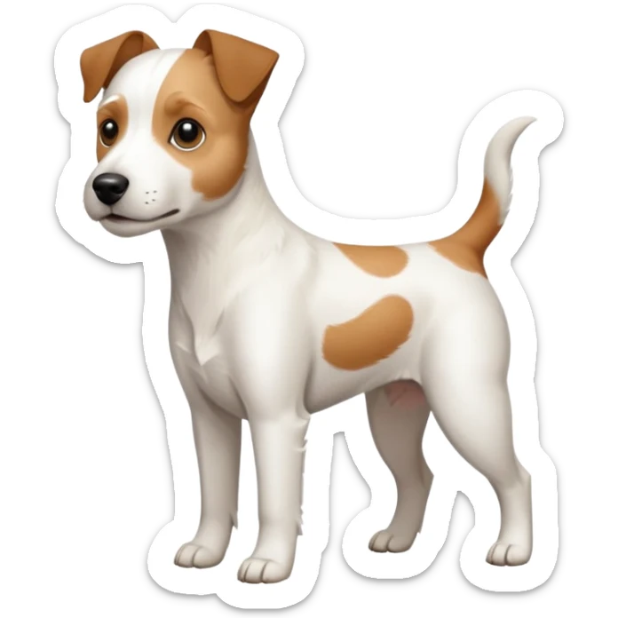 a full body white parson russell looking dog the size of a kelpie with light brown ears and a light brown patch on one eye and a large snout sticker