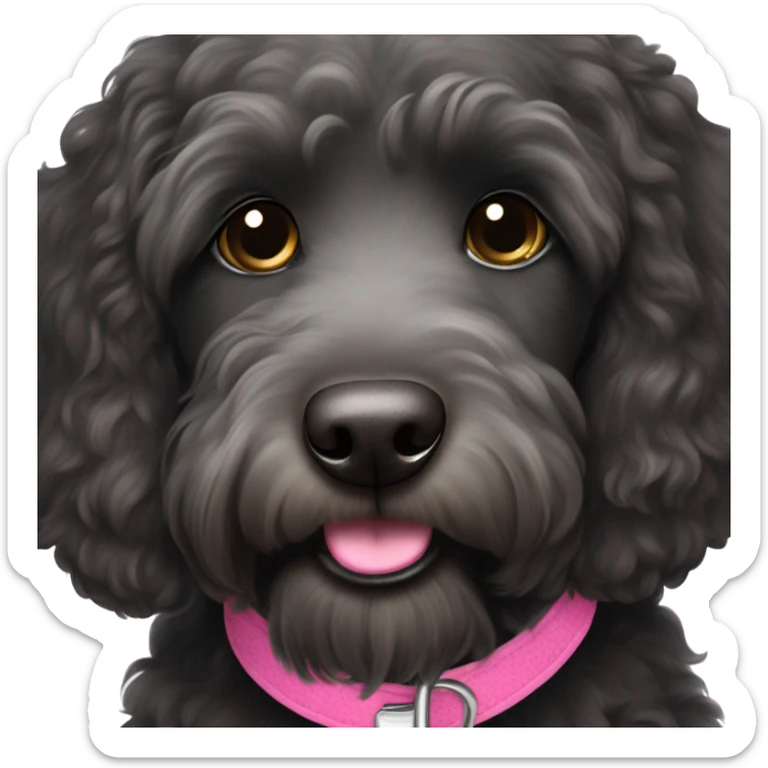 Black labradoodle female dog with a pink collar on with the name Bonnie sticker