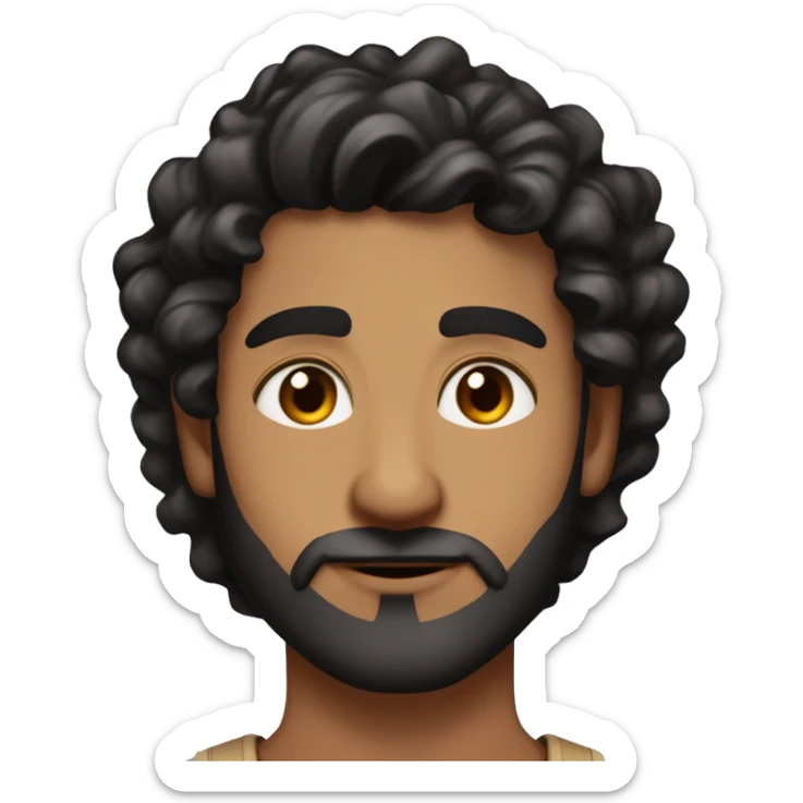 light brown skin indian man with black coloured curls hair with a fade on the sides with nicely shaped eyebrows with brown eyes and a beard thats not too thick and a good jawline but not too big and long of face sticker