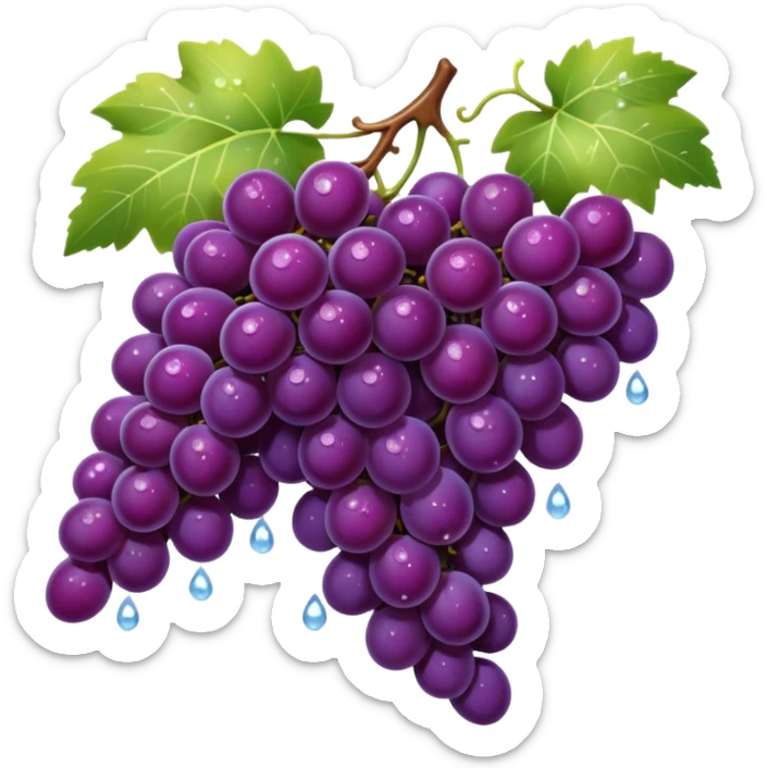 bunch of rich purple grapes with dewdrops and soft glow, sparkling, luxury, premium wine theme sticker