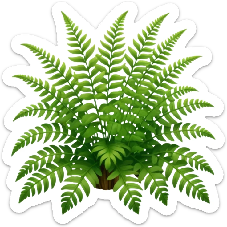A cluster of soft green ferns growing under shaded trees.









































 sticker