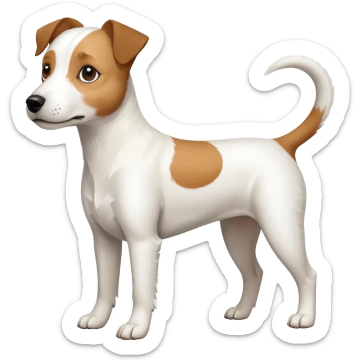 a full body slightly chubby white parson russell terrier looking dog the size of a kelpie with light brown long ears and a light brown patch on one eye and a large snout. the rest of the dog is completely white sticker