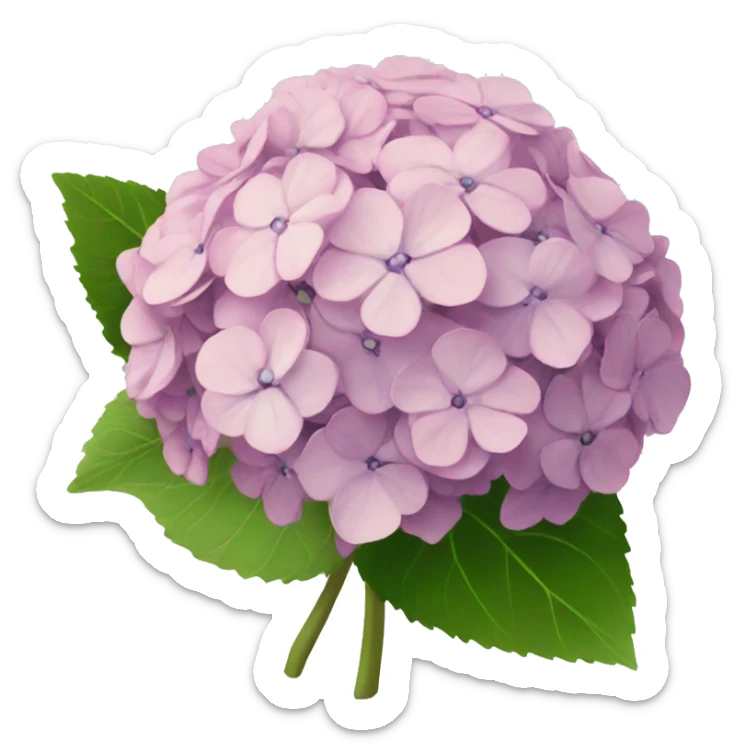hydrangea sticker