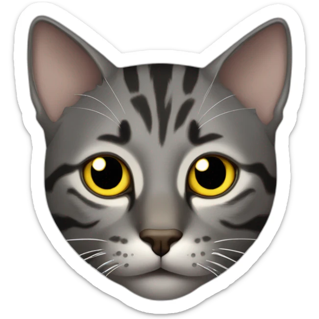 dark gray tabby cat with yellow eyes, black nose, some brown around mouth, brown around mouth, tip of left ear cut off sticker