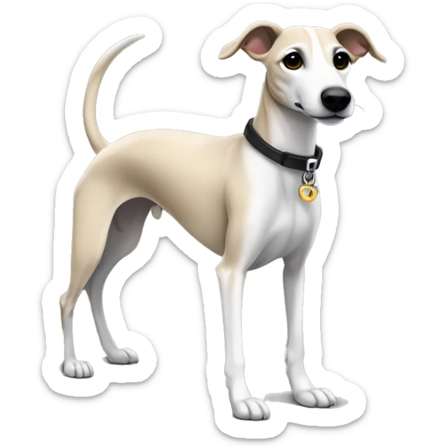 a beige whippet full body with stripes his left foot white color up up and a leash going out of frame, with a dark snout, black and white mouth patchy and black angel wing like eyes sticker