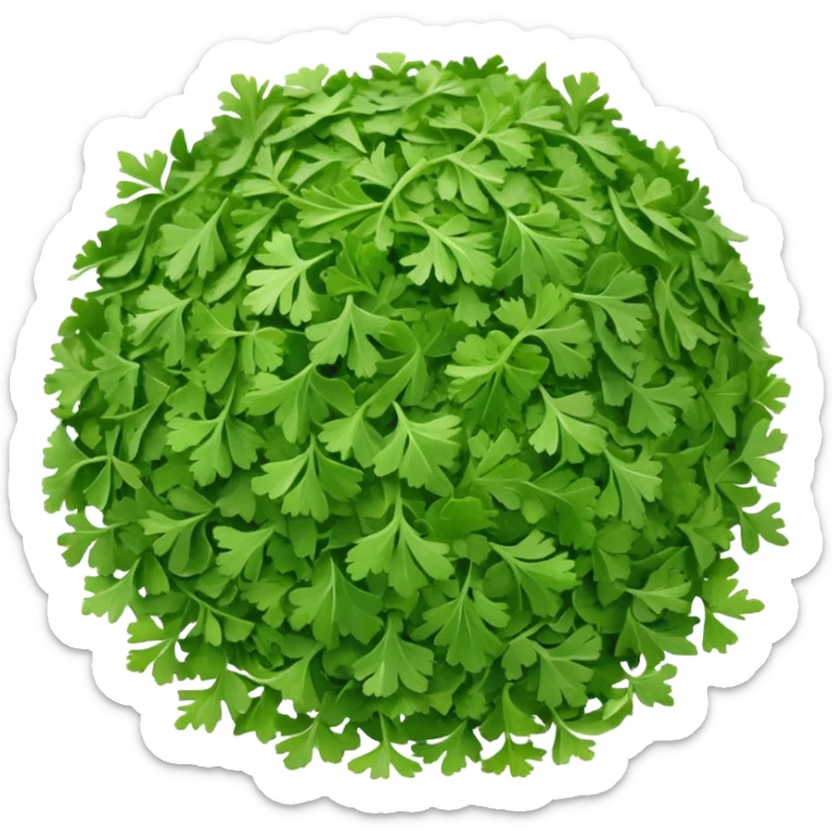 loose scatter of finely chopped dried parsley leaves with flat jagged shapes and soft matte texture, color ranges from bright to muted green, slight curl and crispness suggesting freshness preserved, no jar spoon or extras, just the herb, soft lighting, subtle shadows, emoji scale sticker