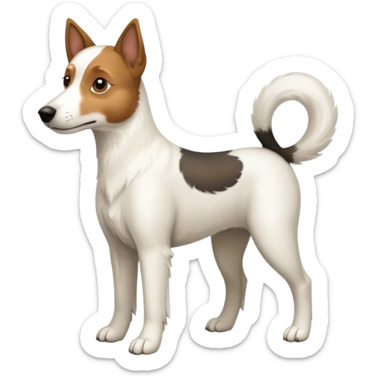 a full body large white parson russell looking dog the size of a kelpie with light brown ears and a light brown patch on one eye and a large snout sticker