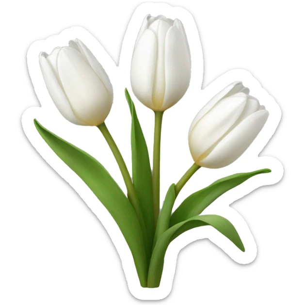 white tulip bouquet  sticker