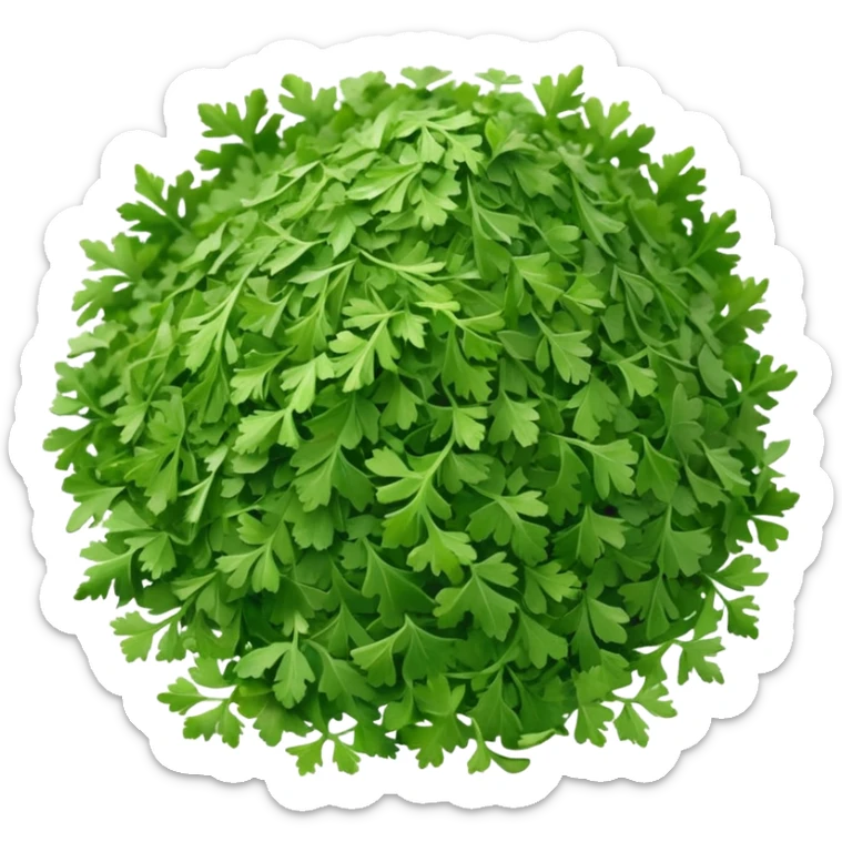 loose scatter of finely chopped dried parsley leaves with flat jagged shapes and soft matte texture, color ranges from bright to muted green, slight curl and crispness suggesting freshness preserved, no jar spoon or extras, just the herb, soft lighting, subtle shadows, emoji scale sticker