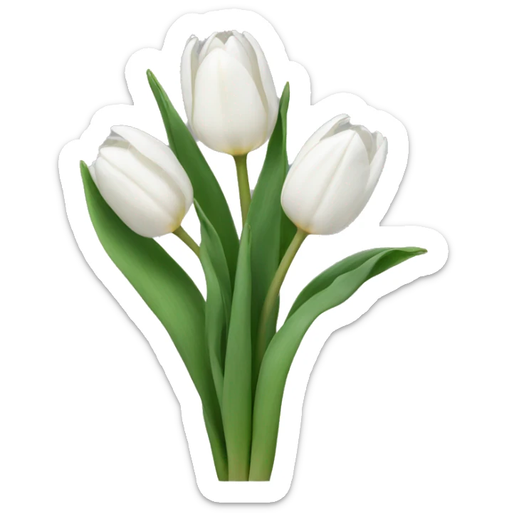 White tulips sticker