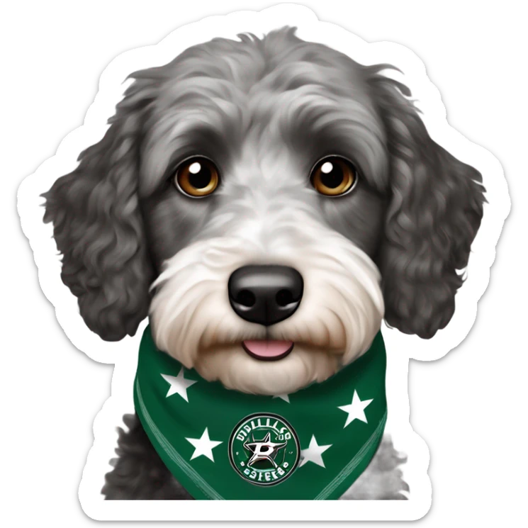 Aussiedoodle wearing a neck bandana with the NHL Dallas Stars hockey team logo sticker