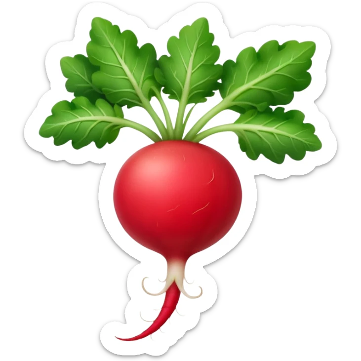 the actual radish compared to the leaves needs to be smaller, radish UK plant with a bit of white on the bottom of the radish sticker