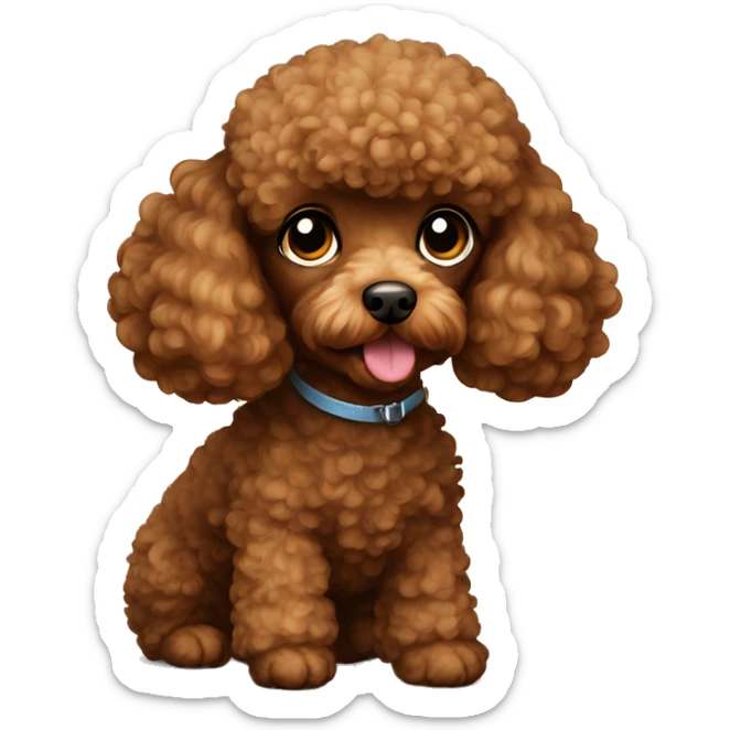 Brown toy poodle laying sticker