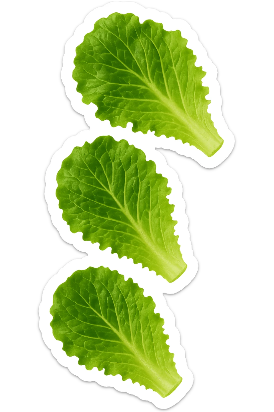 EMOJI STILE IPHONE DI FOGLIE DI INSALATA CHE FLUTTUANO IN ARIA, IPERREALISTICO 4K sticker