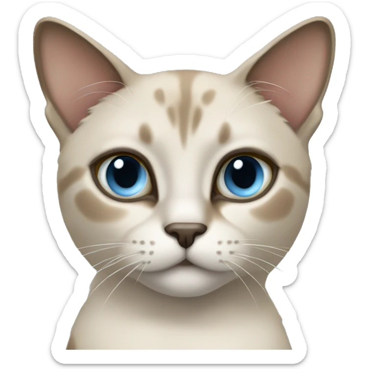 Thai breed cat with a light cream-brown body, dark gray nose and face, ears, and paws. sharp ears, and striking light blue eyes  sticker