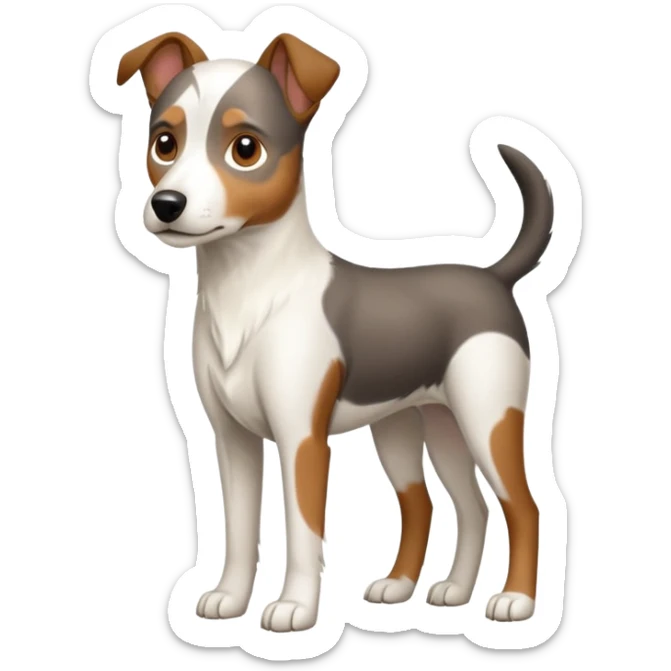 a full body large white floppy eared parson russell looking dog the size of a kelpie with light brown ears and a light brown patch on one eye and a large snout sticker