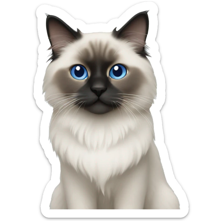 Blue point ragdoll sticker