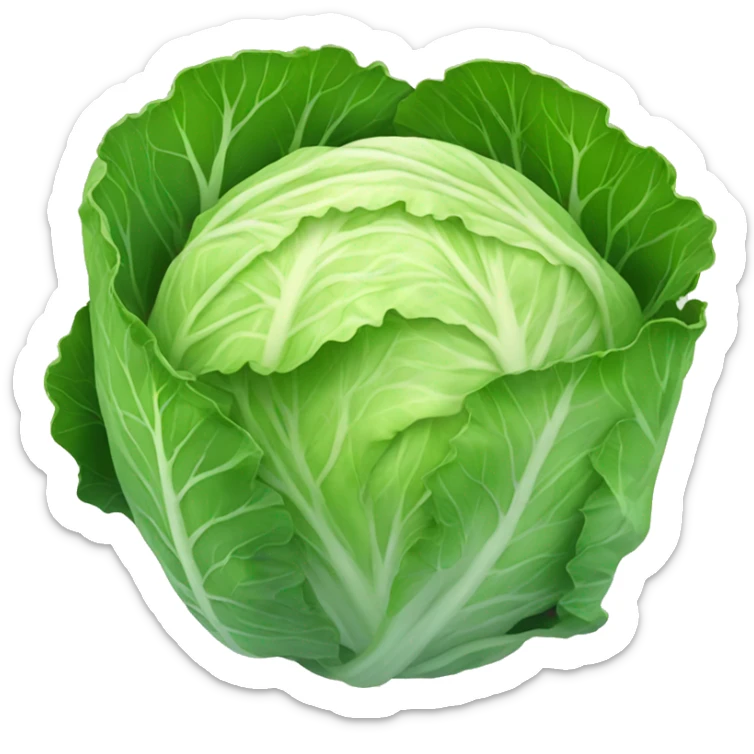 cabbage sticker