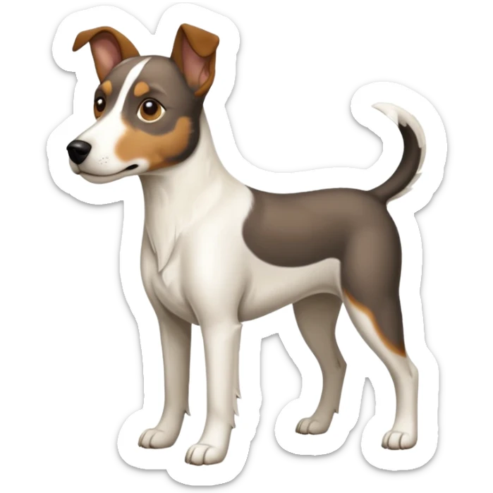 a full body large white floppy eared parson russell looking dog the size of a kelpie with light brown ears and a light brown patch on one eye and a large snout sticker