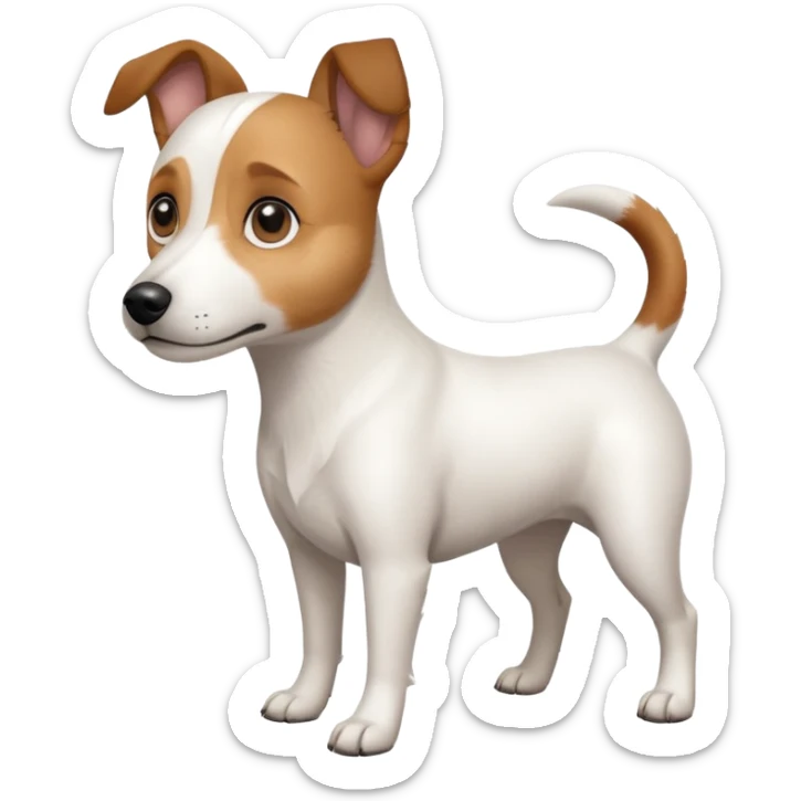 a full body white jack russel looking dog the size of a kelpie with light brown ears and a light brown patch on one eye and a large snout sticker