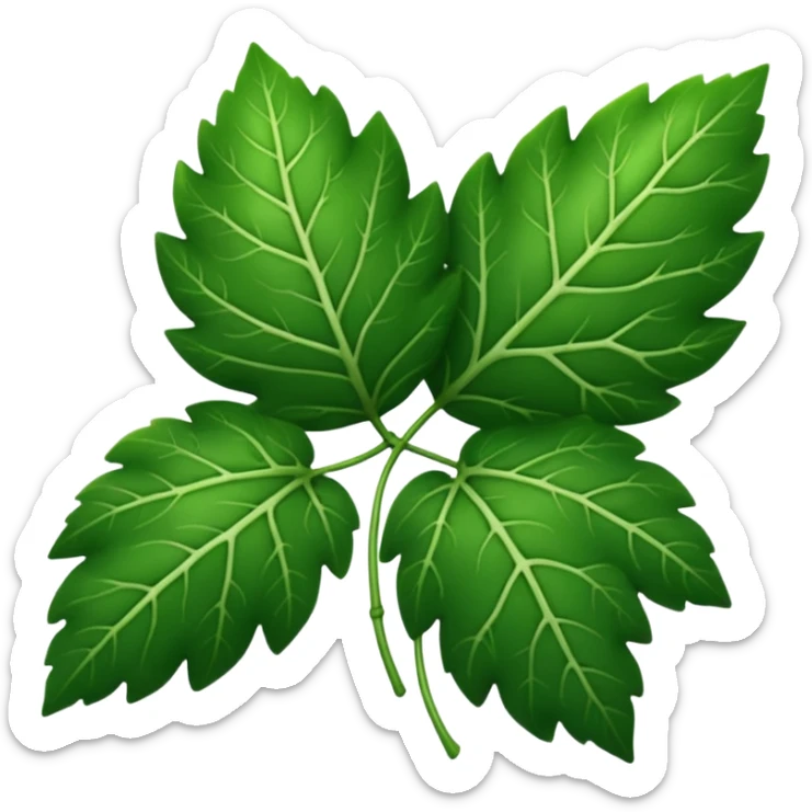 "iOS style leaves emoji, green with detailed veins, no background" sticker