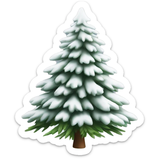  actual white fir christmas tree isolated.  sticker