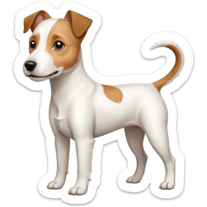 a full body white parson russell looking dog the size of a kelpie with light brown ears and a light brown patch on one eye and a large snout sticker