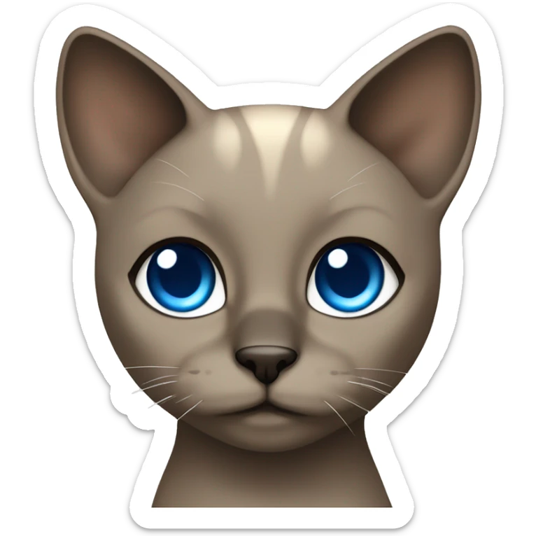 Dark Brown face - beige body and ears female siamise cat with blue eyes  sticker